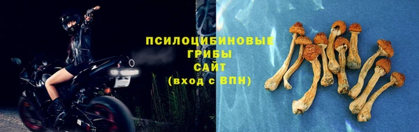 гашик Абинск