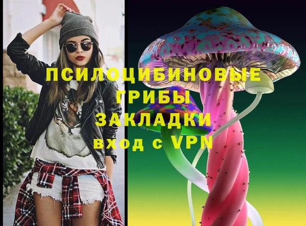 гашик Абинск