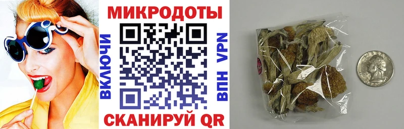 Галлюциногенные грибы мицелий  продажа наркотиков  Каменск-Шахтинский 